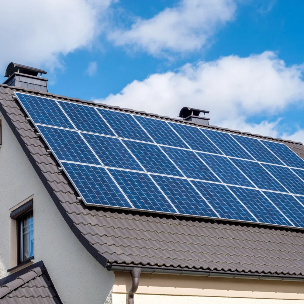 Homepage - Service - Domestic Solar Panel Cleaning